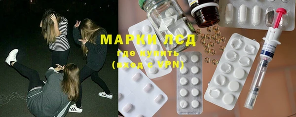 индика Бородино
