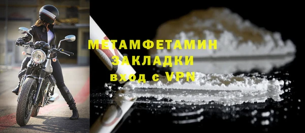 индика Бородино