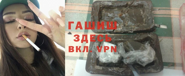 индика Бородино