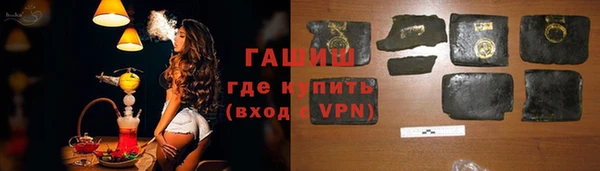 индика Бородино