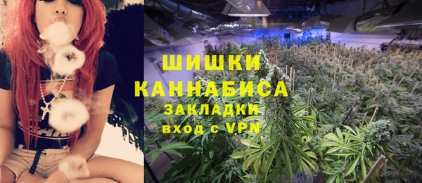 индика Бородино