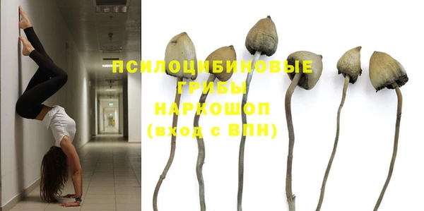 индика Бородино