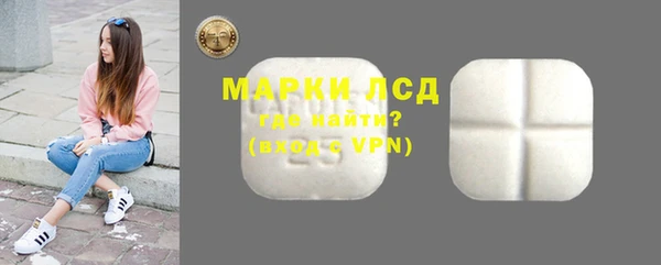 индика Бородино