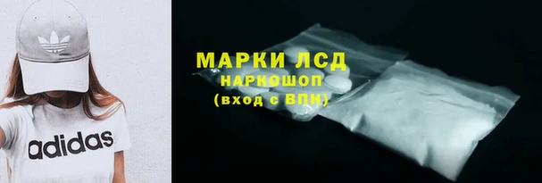 индика Бородино