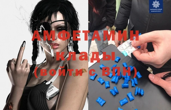 индика Бородино