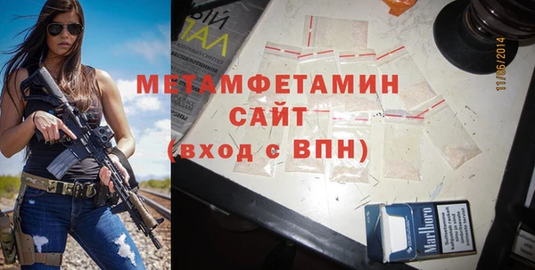 индика Бородино
