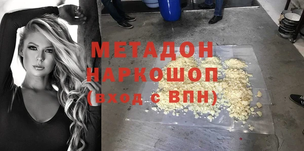 индика Бородино
