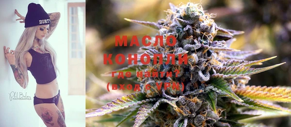 индика Бородино