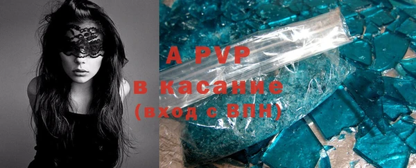 индика Бородино