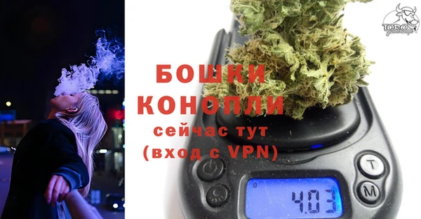 индика Бородино