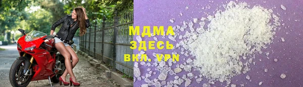 индика Бородино