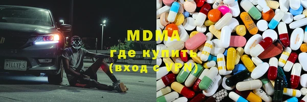 индика Бородино